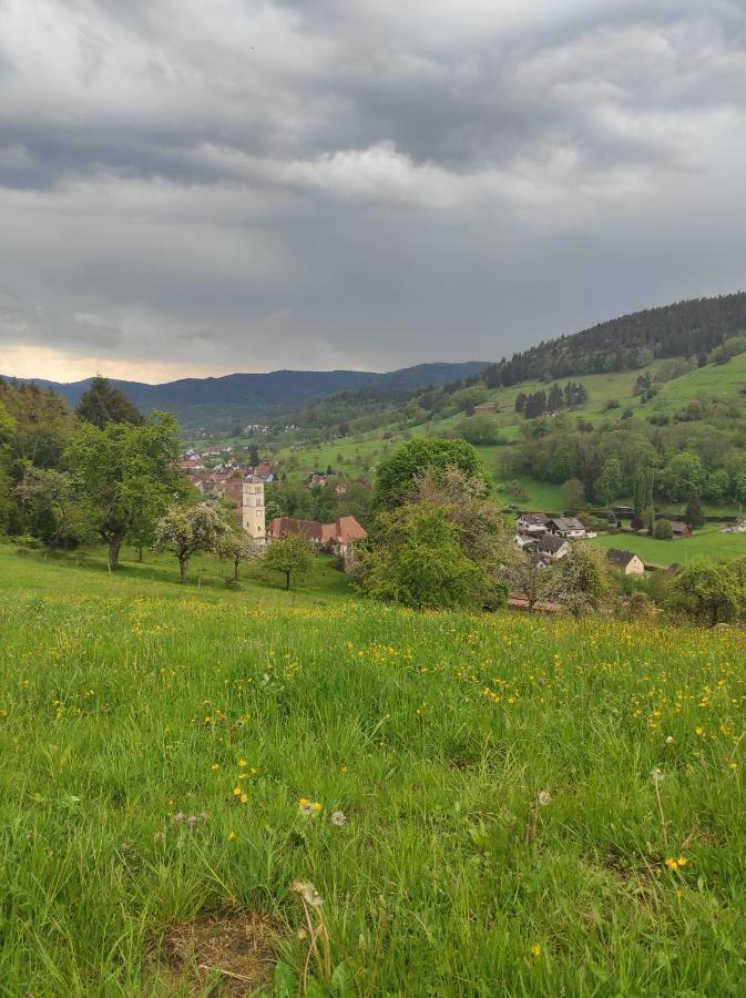 Gite Luxury A Soultzeren Exteriér fotografie